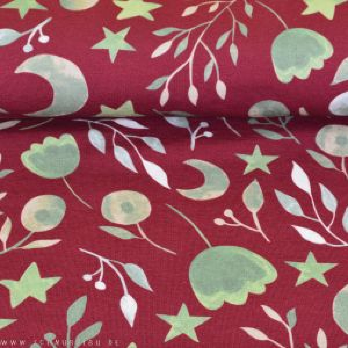 Jersey Sternenblume rot